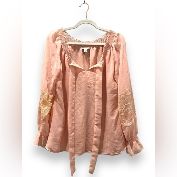 BOSTON PROPER | Sheer Retro Style Lace Sleeve Insert Sheer Light Pink Blouse 10 - Picture 3 of 9